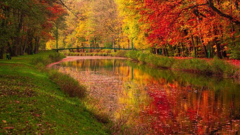 HERBSTFERIEN (Brückentag)