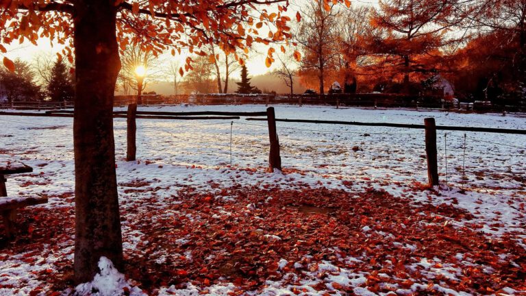 WINTERANFANG (meteorologisch)